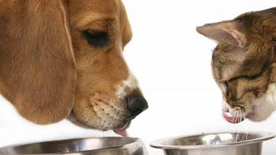 Pet Food Drive